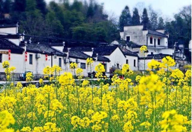 Xishan Wutong Qinyuan Huangshan Εξωτερικό φωτογραφία