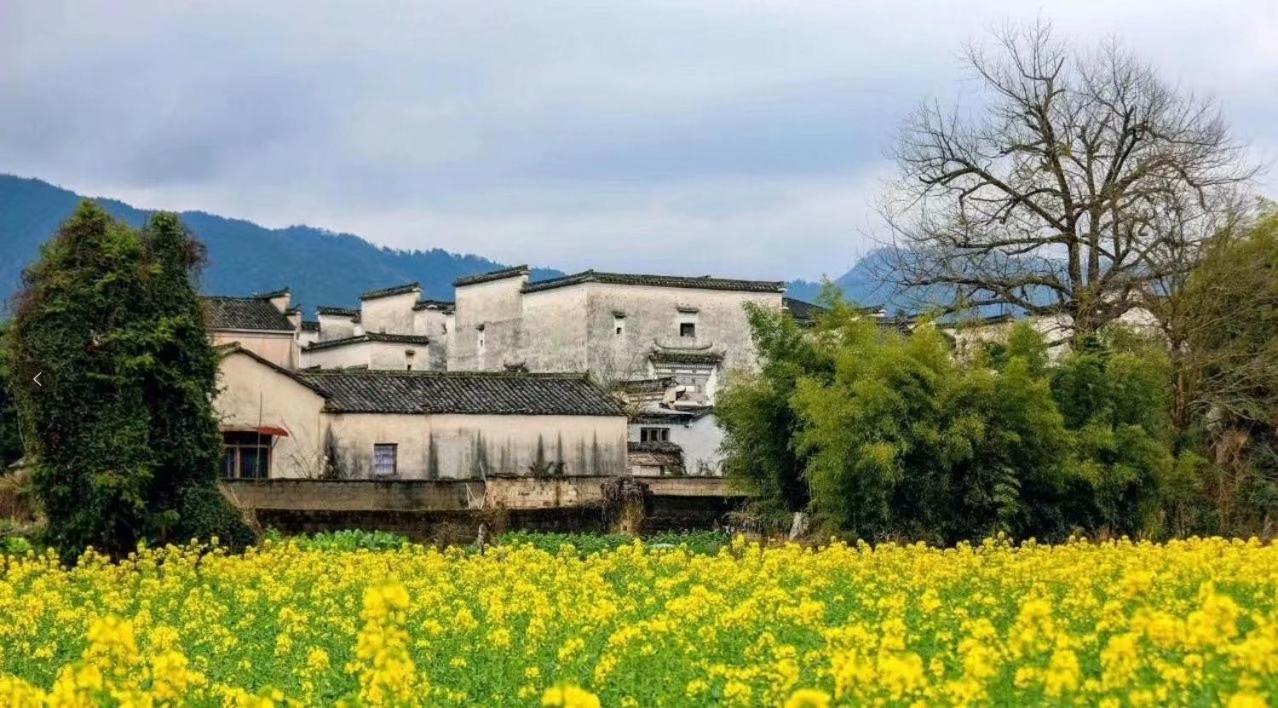 Xishan Wutong Qinyuan Huangshan Εξωτερικό φωτογραφία
